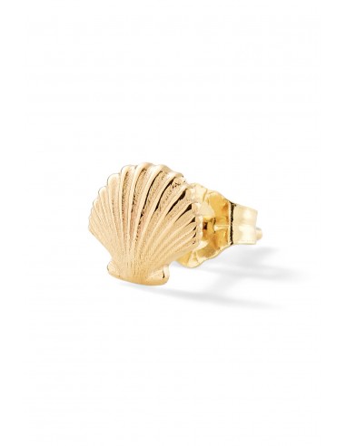 Seashell Stud acheter