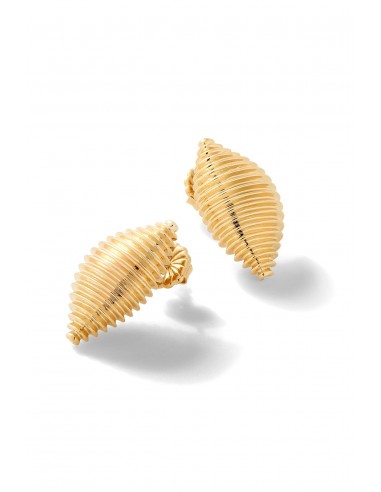 Large Shell Earrings de France