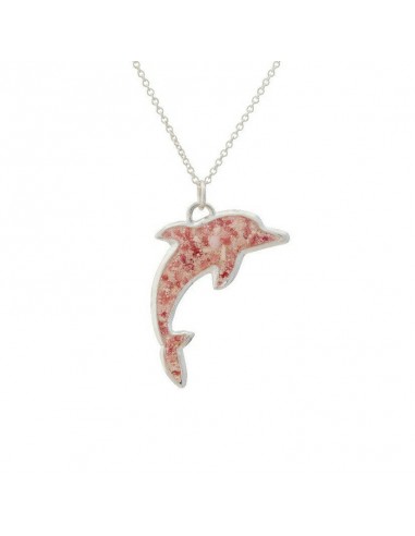 Friends ~ Dolphin Pendant prix pour 