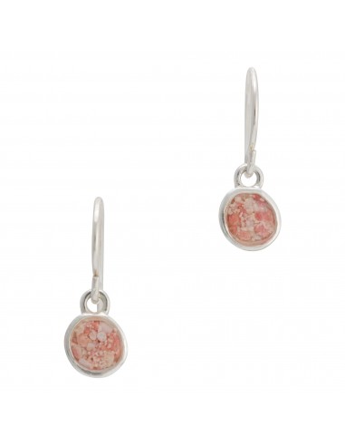 Splash ~ Circle (Small) Dangle Earrings pas cher