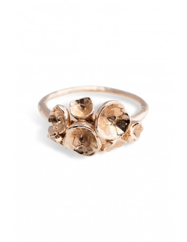 Under the Sea ~ Barnacle Ring in Gold en linge