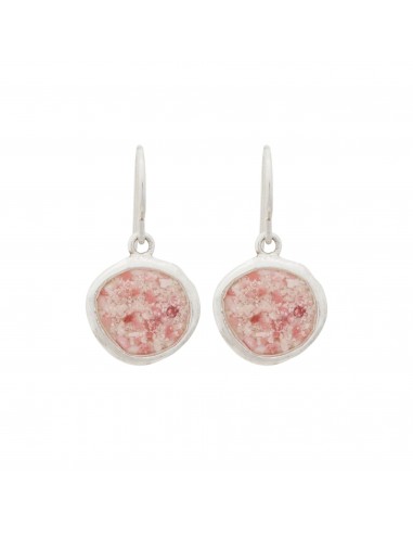 Splash ~ Circle (Large) Dangle Earrings des créatures d'habitude