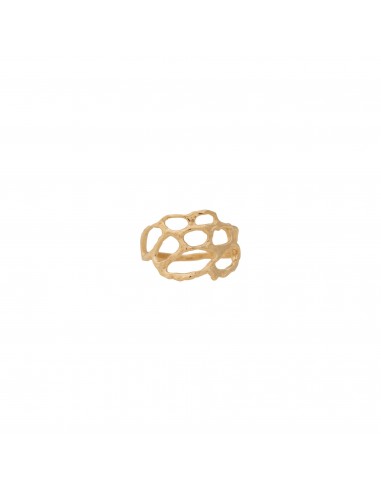 Lace ~ Small Ring in Gold les ligaments