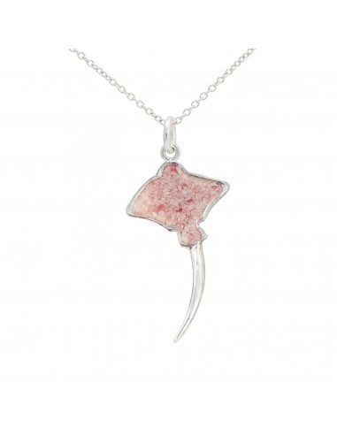 Friends ~ Eagle Ray Pendant pas cheres