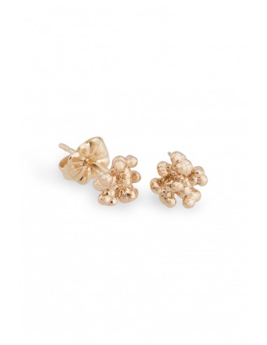 Caviar ~ Tiny Stud Earrings in Gold 50-70% off 