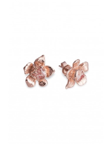 Fera ~ Tiny Flower Stud Earrings in Gold en ligne