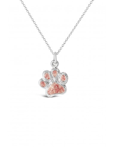 Icons ~ Paw Print Pendant Economisez 