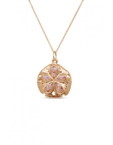 Friends ~ Sand Dollar (Medium) Pendant in Gold l'évolution des habitudes 