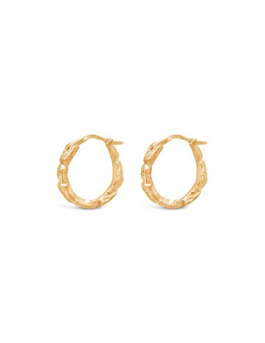 Hoops ~ Coral Small Huggies in Gold les ligaments