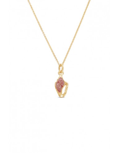 Shell ~ Conch Pendant in Gold la livraison gratuite