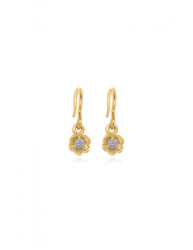 Barnacles ~ 2.5mm Gold Diamond Earrings des créatures d'habitude