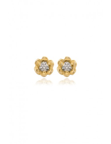 Barnacles ~ 2.5mm Gold Diamond Stud Earrings pas cher