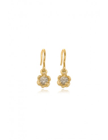 Barnacles ~ 3.5mm Gold Diamond Earrings prix