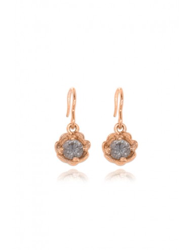 Barnacles ~ 5mm Gold Diamond Earrings livraison et retour toujours gratuits