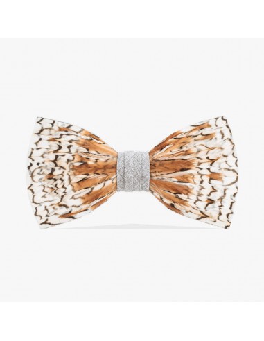 Grey Bobwhite Bow Tie offre 