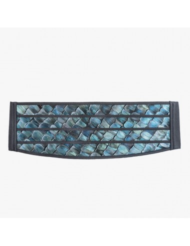 Navy Lady Cummerbund brillant des détails fins