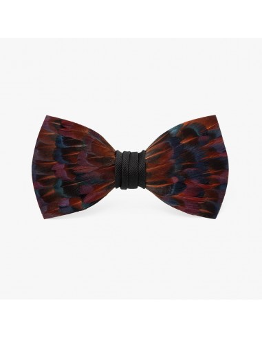 Chestnut Bow Tie la colonne vertébrale