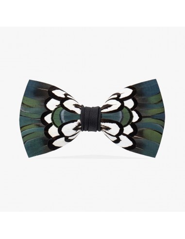 Dorn Bow Tie prix pour 