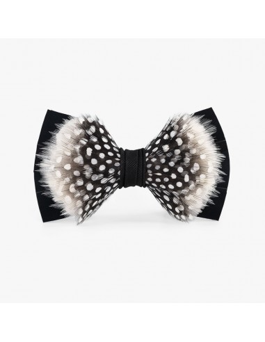 Drifter Bow Tie Comparez et commandez 