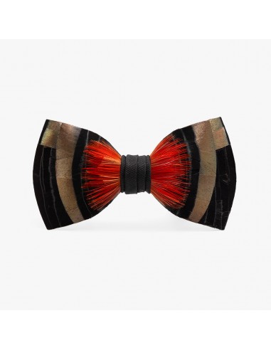 Meriwether Bow Tie les ligaments