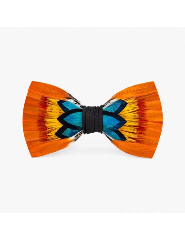 Tucson Bow Tie brillant des détails fins