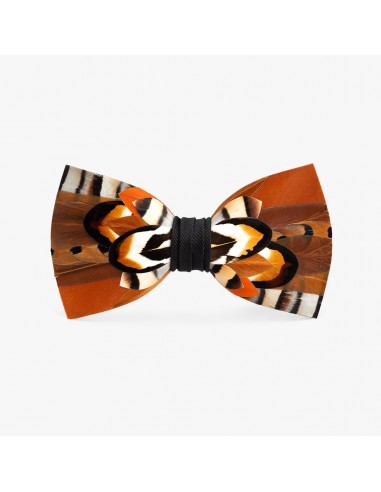 Wapiti Bow Tie france