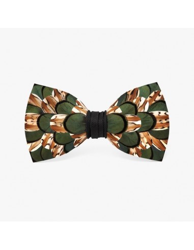 Medicine Bow Bow Tie une grave pollution 