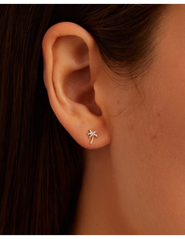 Diamond Palm Studs la colonne vertébrale