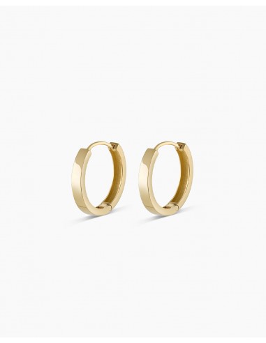 14k Gold Rose Hoops la colonne vertébrale